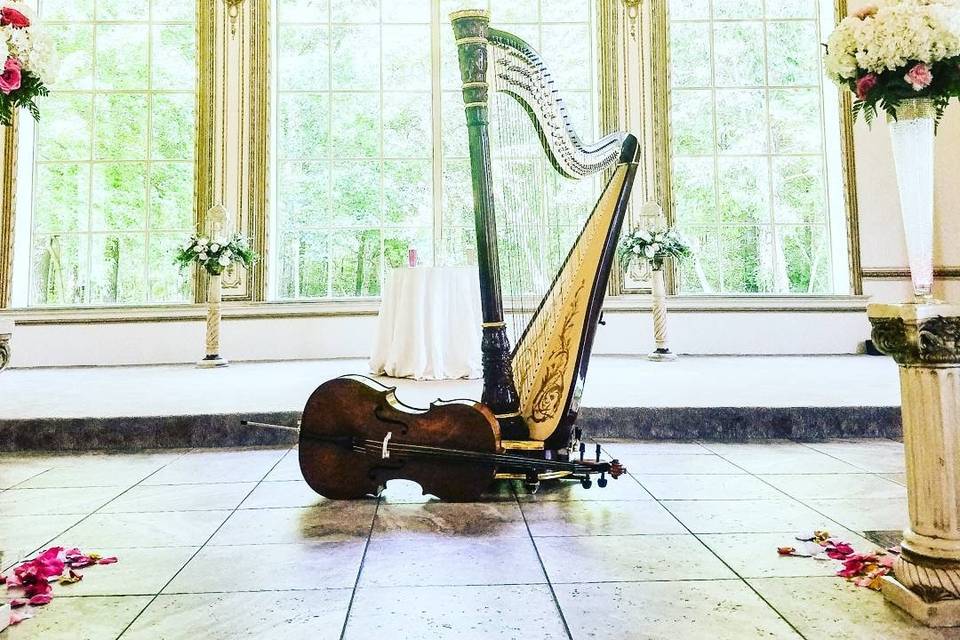 New Jersey Wedding harp cello