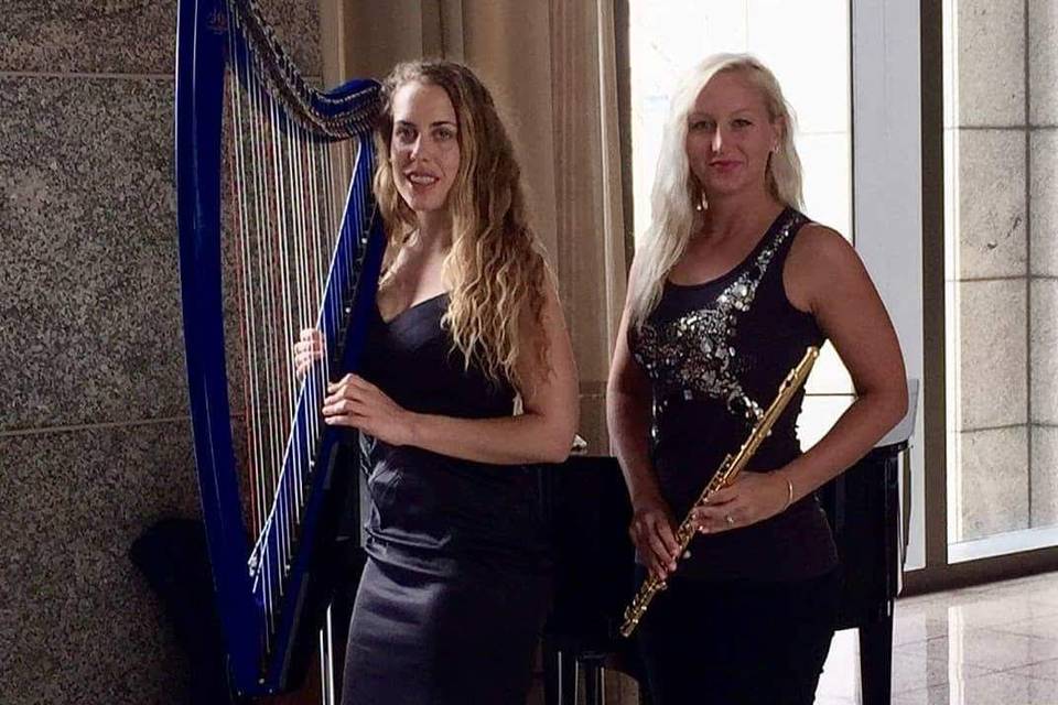 Harp and flute duet