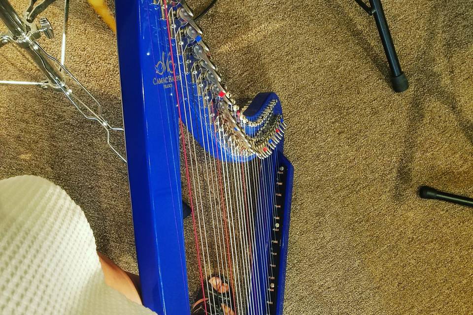 Electric Blue Harp