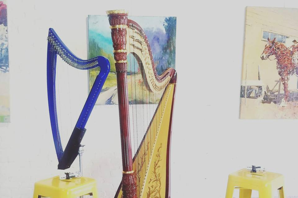 Pedal Harp, Electric Harp