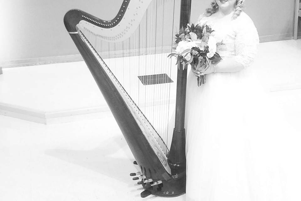 Bride and harp boyertown, PA