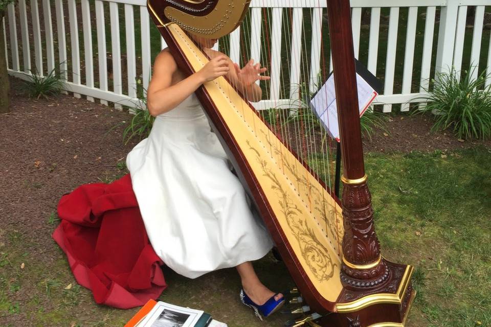 Harpist