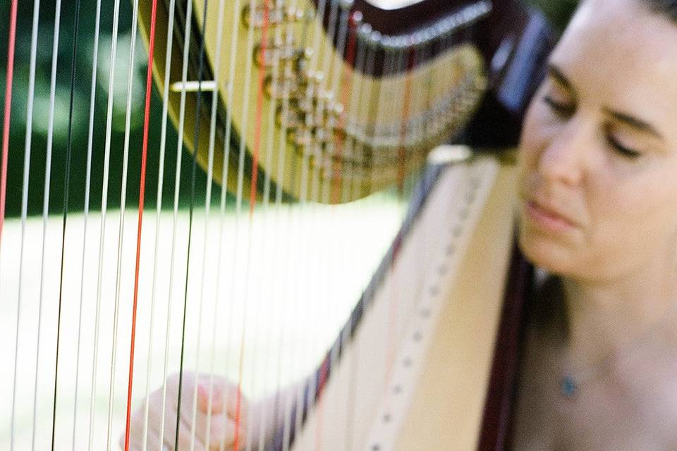 Harpist closeup