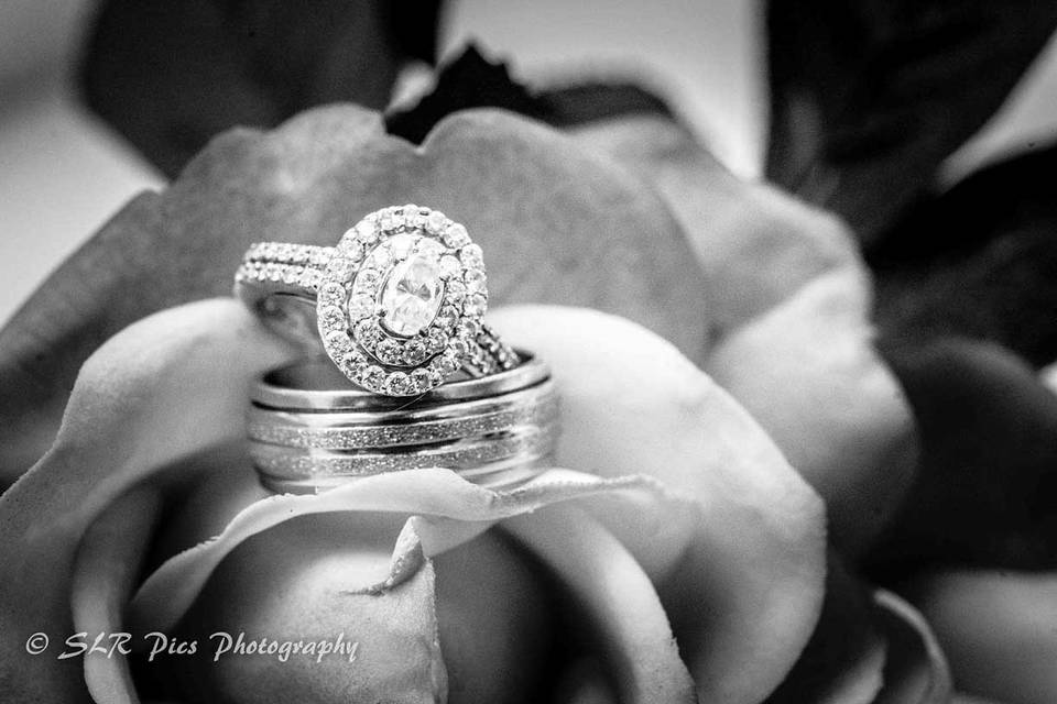 SLR Pics Photography