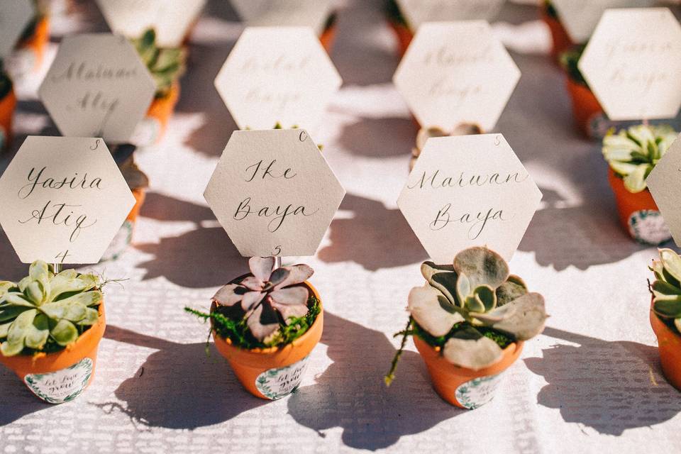 Succulent name cards