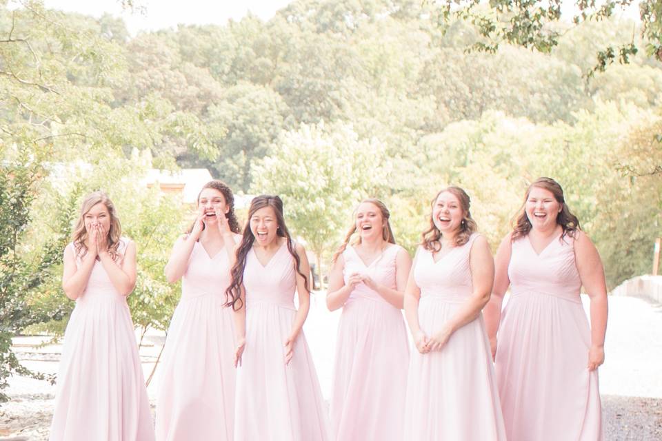 Bridesmaids reaction to dress