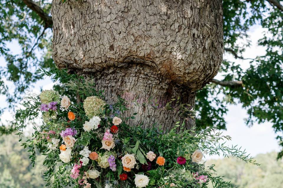 Flowered tree