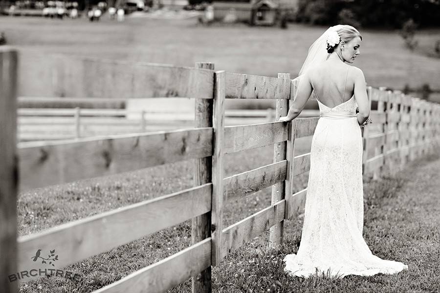 Rustic setting juxtaposed against her dress