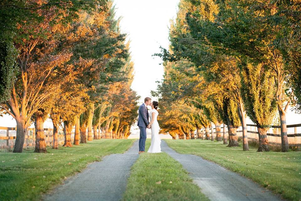 A kiss on the tree lined drive