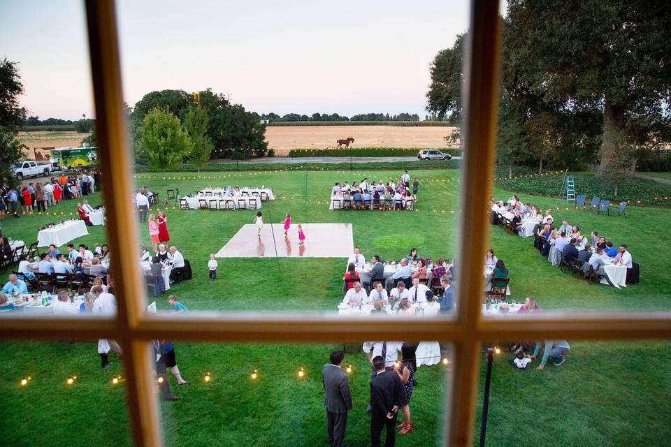 View of back lawn reception