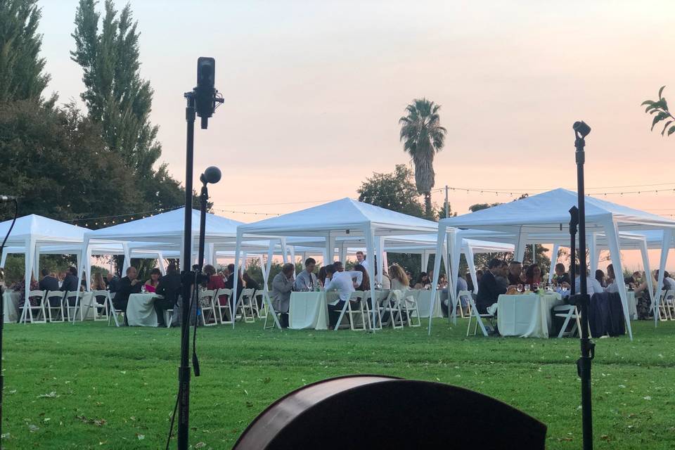 Dinner on the front lawn