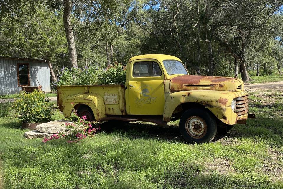 Truck Bed of Flowers