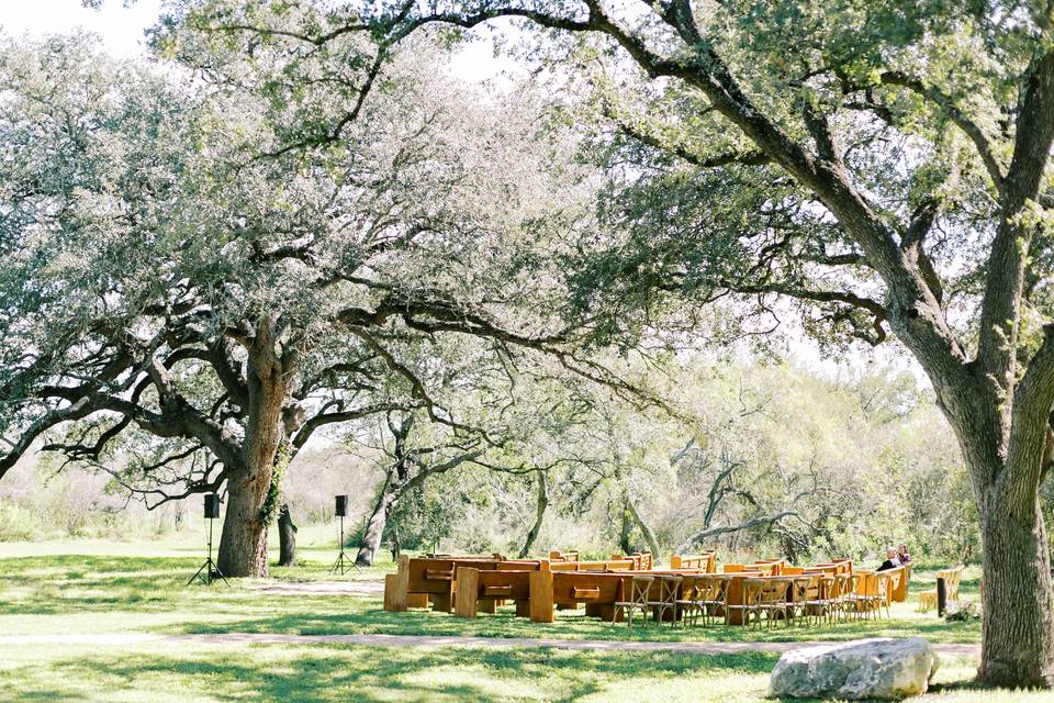 Solid Pine Pews Lining Aisle