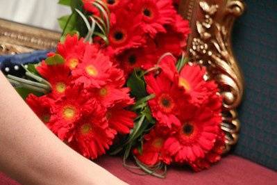 Red Gerberas