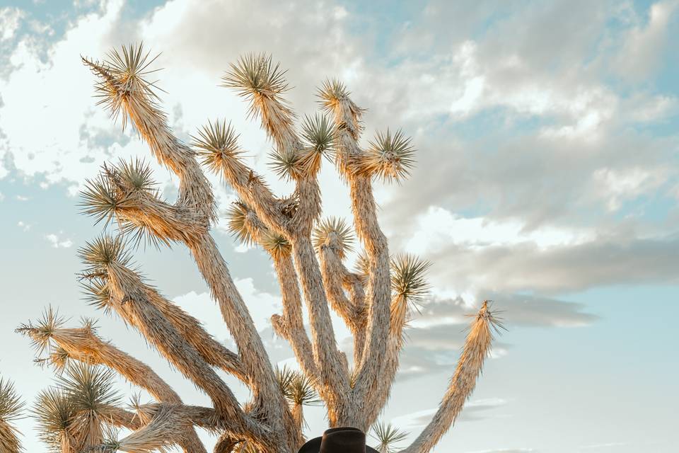 Arizona destination wedding