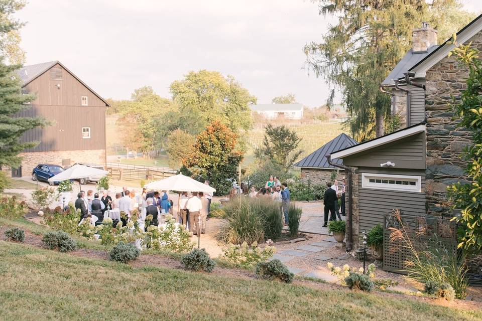 Courtyard for cocktails