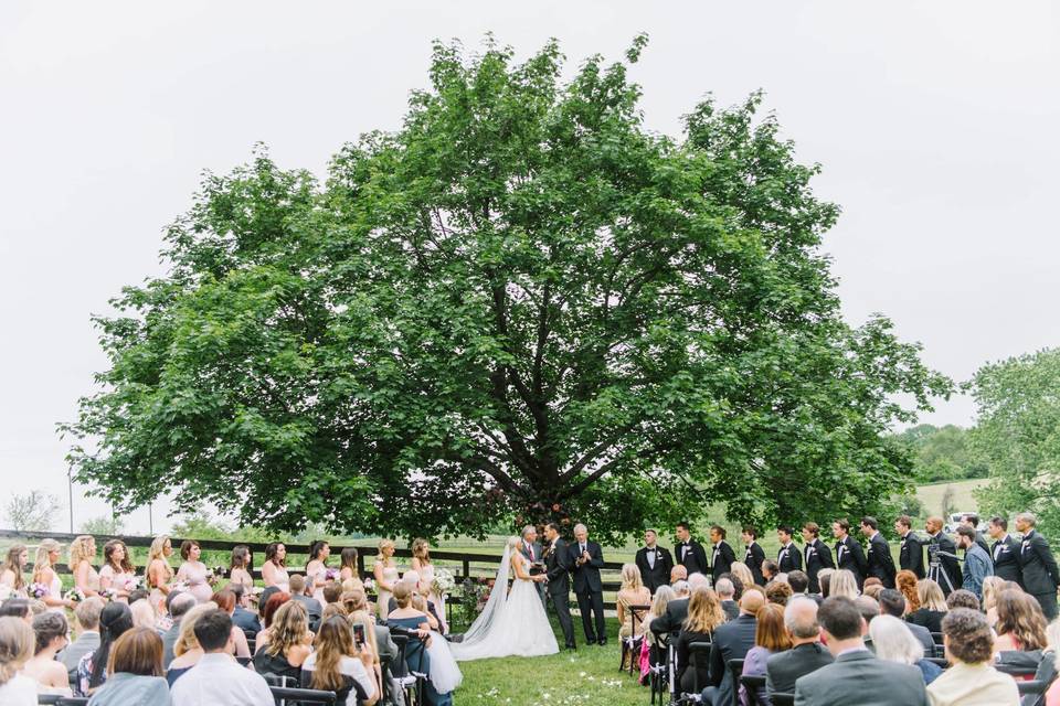 Outdoor ceremony