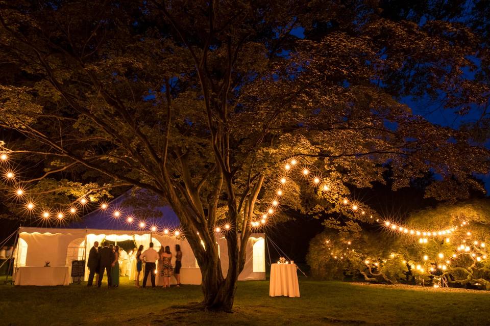 Lakewood Estate Tented Wedding