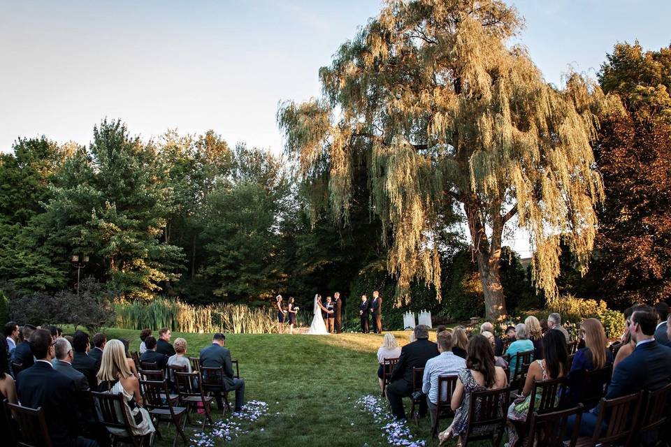 Willow tree ceremony (dusk)