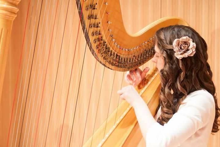 Kristin Szandzik, Harpist