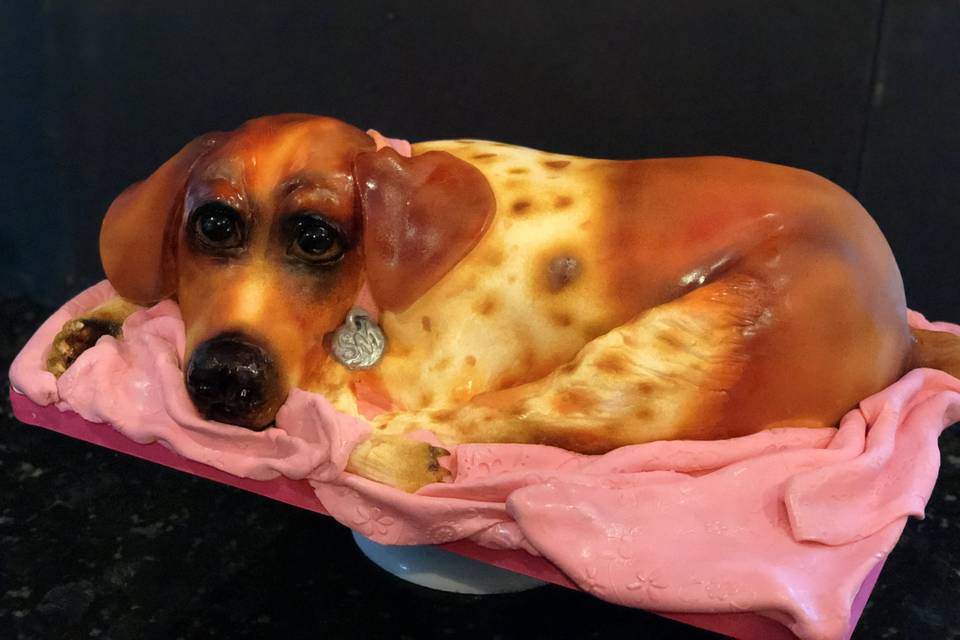 Dog cake