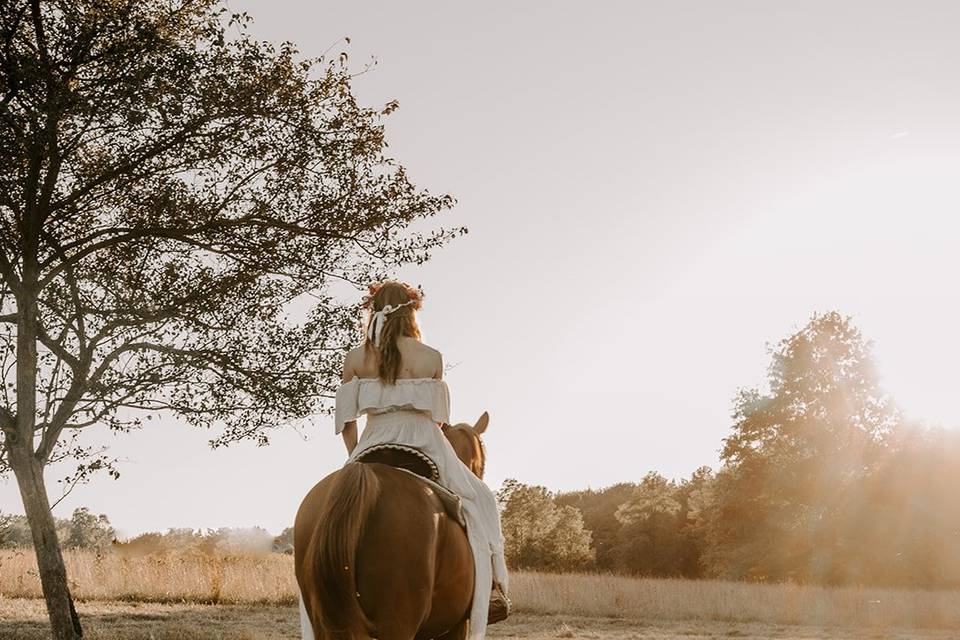 Horse Ride