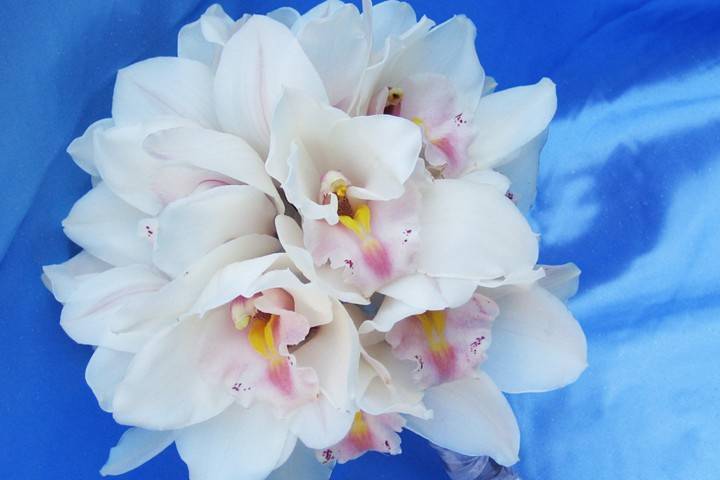 Orchid bouquet