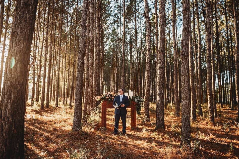 The groom in the woods