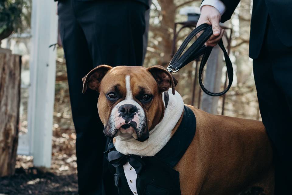 The job of groomsman is not just for men!