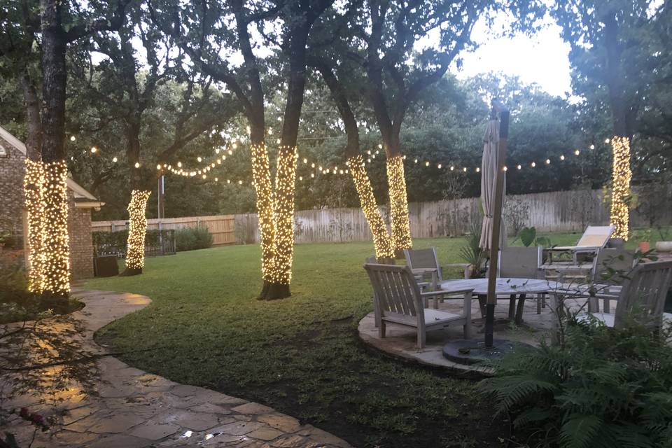 Wedding Lights for Trees