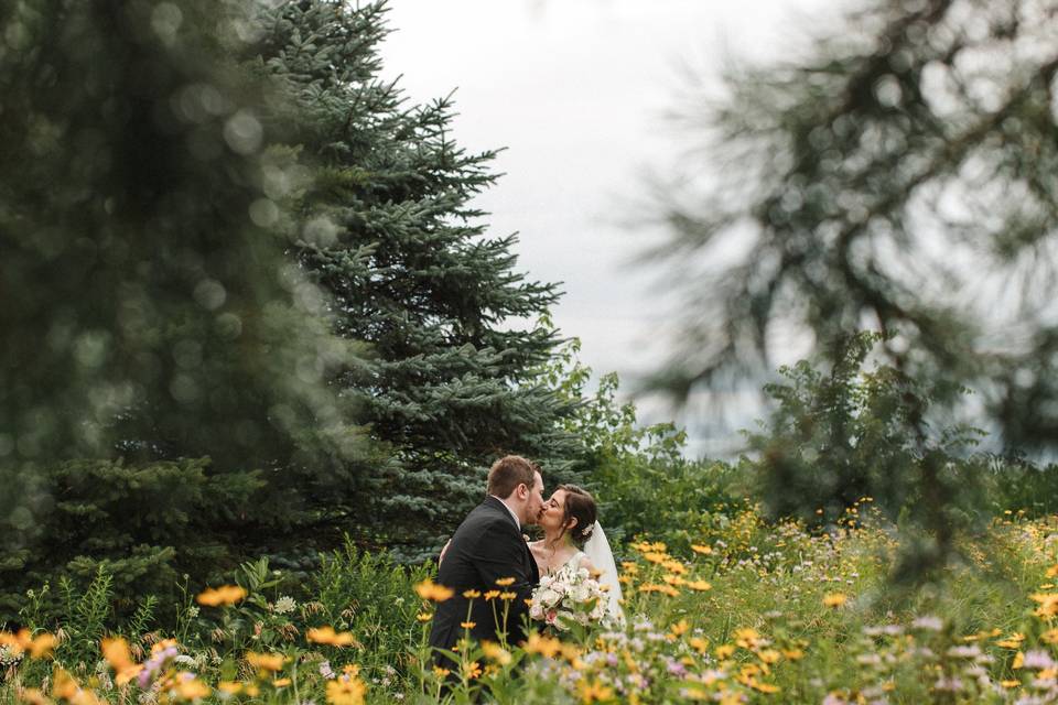 In the Wild Flowers