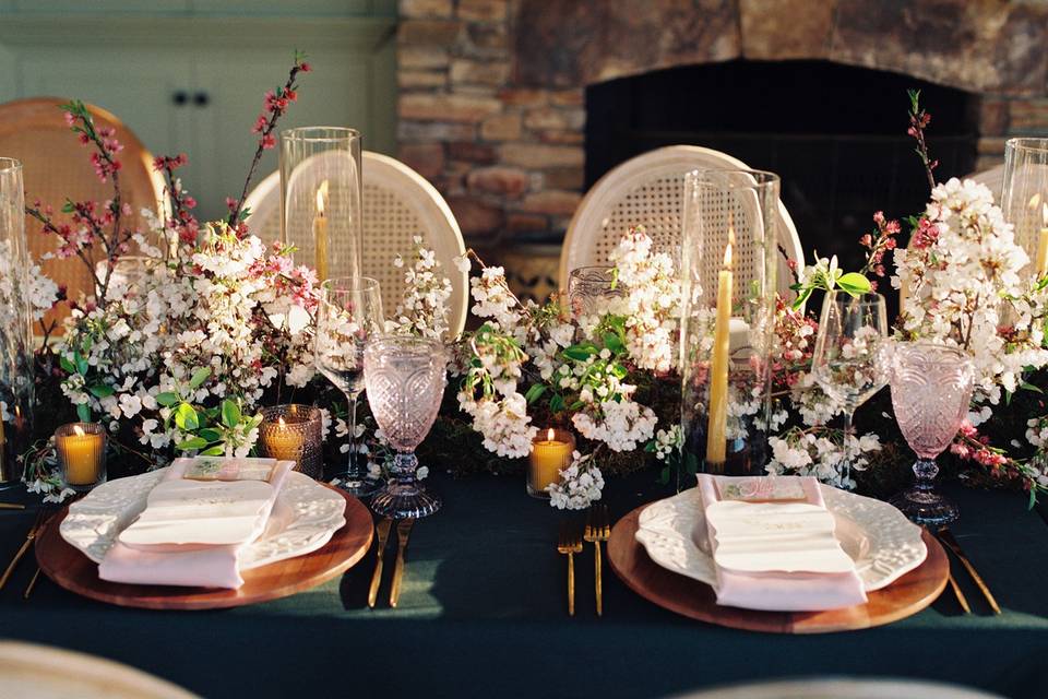 Nicole Clary Photograph