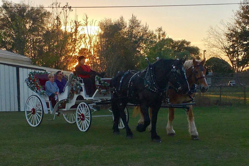 Carriage Crossing - Dillard's - Carriage Crossing is bringing luxury goods  to our customers with their Vintage Designer Handbag Trunk Show September  23, 2017. Contact Dillard's at Carriage Crossing for presale information at  901-850-2229.