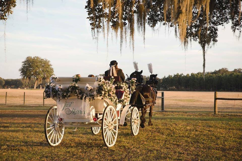 Elegant wedding ride