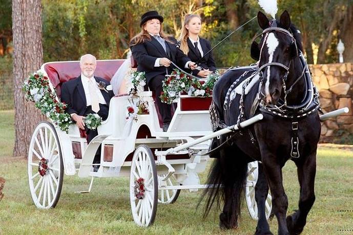 Classic wedding ride