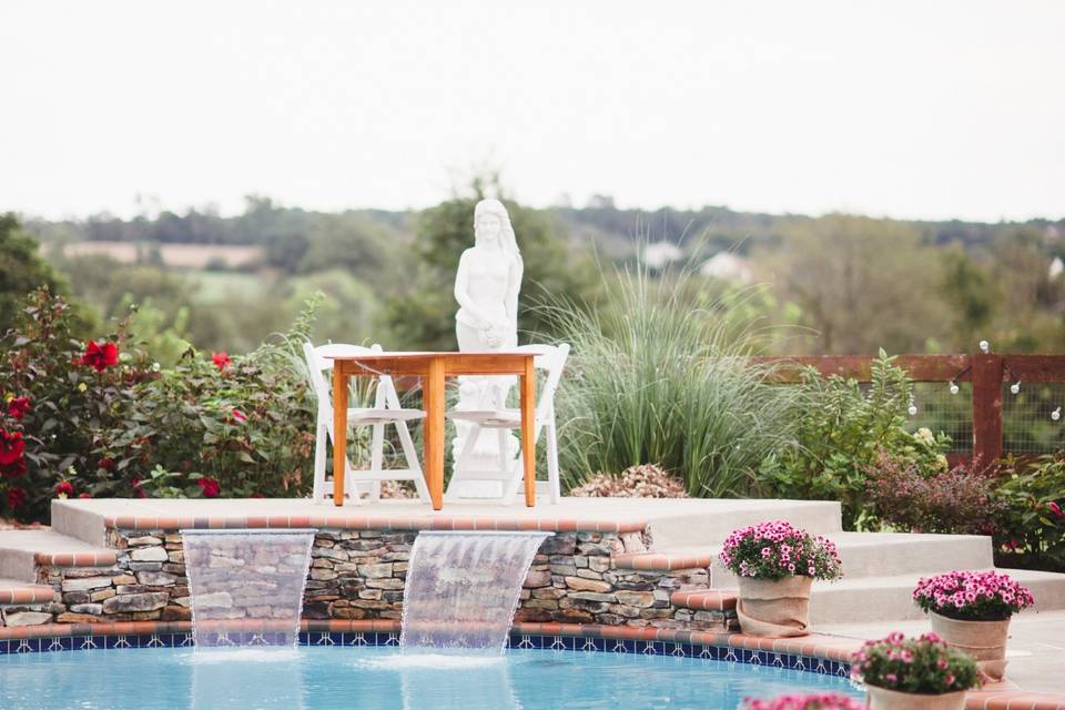 Pool wedding