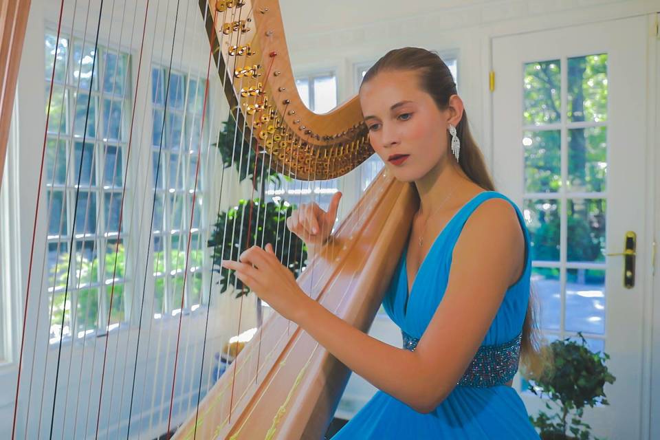 Helen Culpepper Harpist