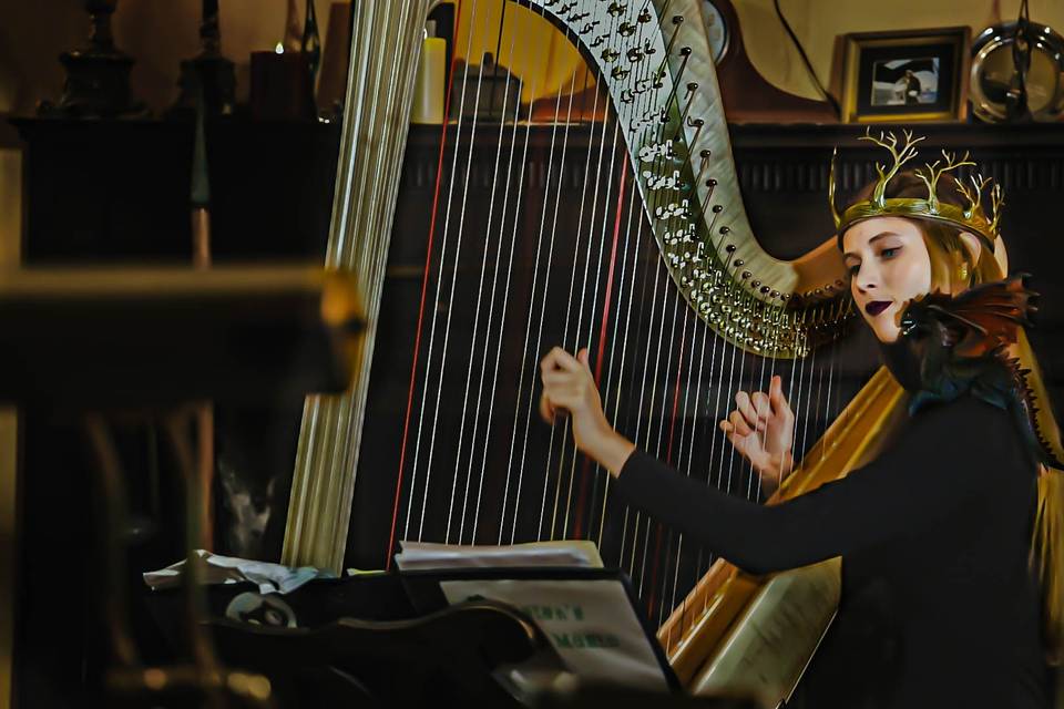 Helen Culpepper Harpist