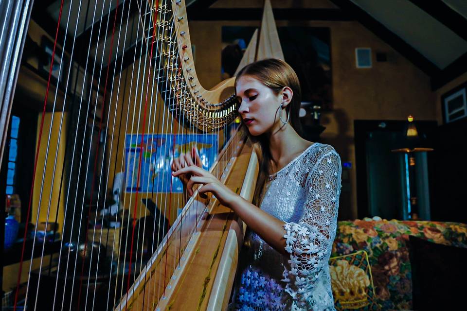 Helen Culpepper Harpist