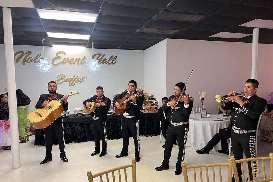Mariachi Band! Excellent!