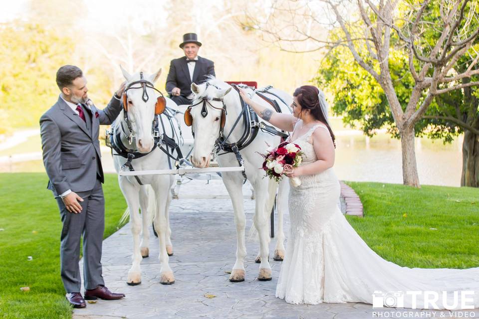 Horse & Carriage