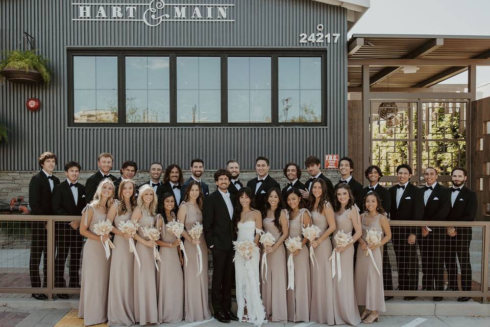 Large Bridal Party