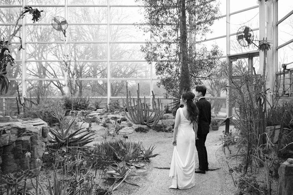 Brooklyn Botanic Garden