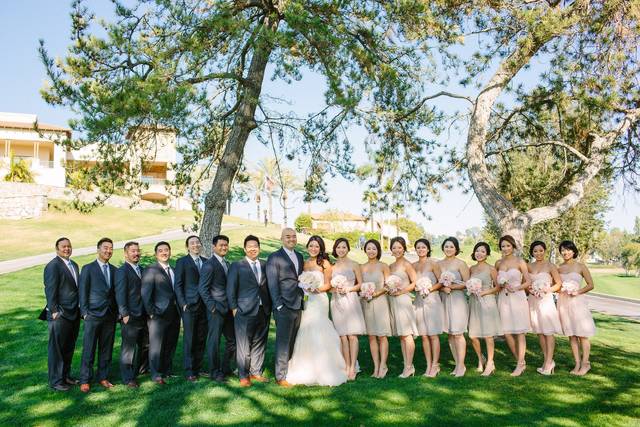 Newlyweds, bridesmaids, and groomsmen