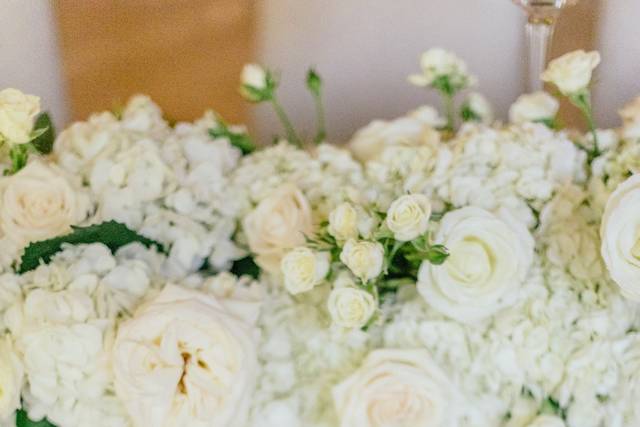 Photo by: Matt & Julie Photogr