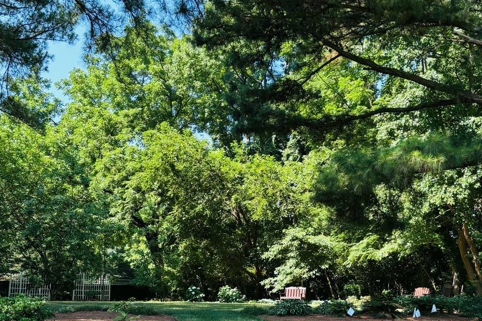 Garden Bride walk