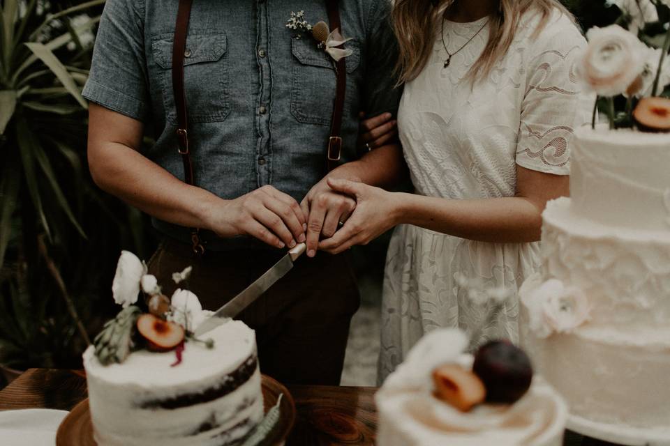 Couple cake cutting