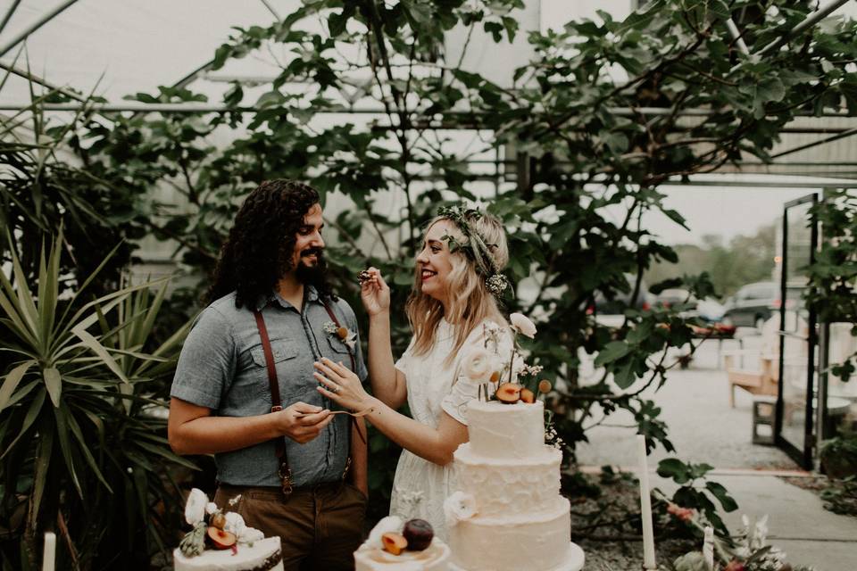 Couple cake cutting