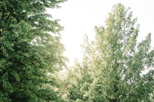 Krysta Norman Photography