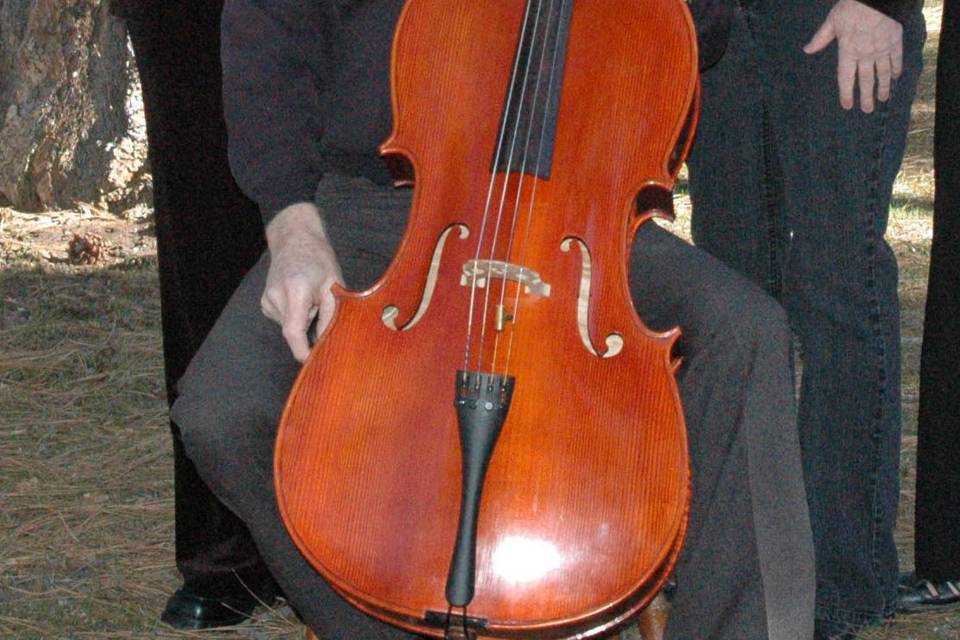 Susanville String Trio
